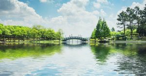 About Conscious Living - beautiful bridge