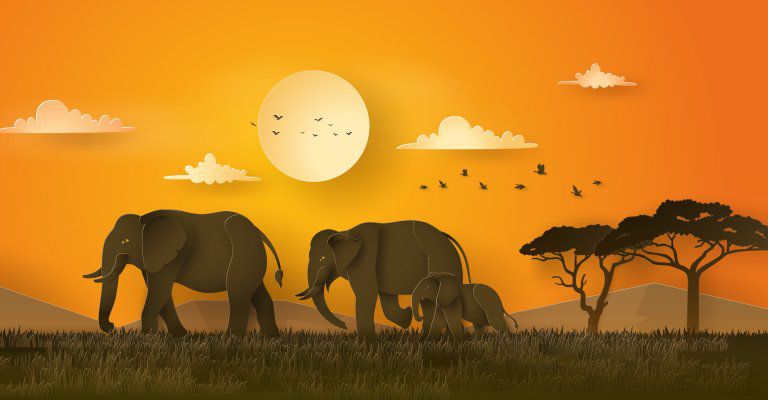 About conscious Living - elephants illustration